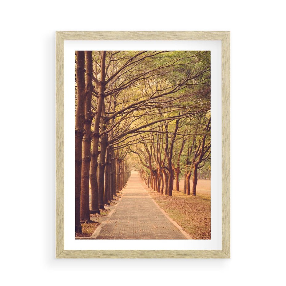 Plakat w ramie 50x70 - Wędrówka między drzewami - droga, drzewa - rama drewno