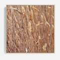 Obraz w ramie 80x80 - Mistrzowskie suche trawy - suche, trawy - rama drewno