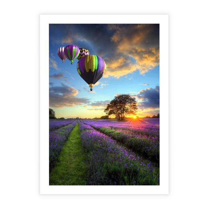 Plakat bez ramy 21x30 - Lawendowe Marzenia - lawenda, balony