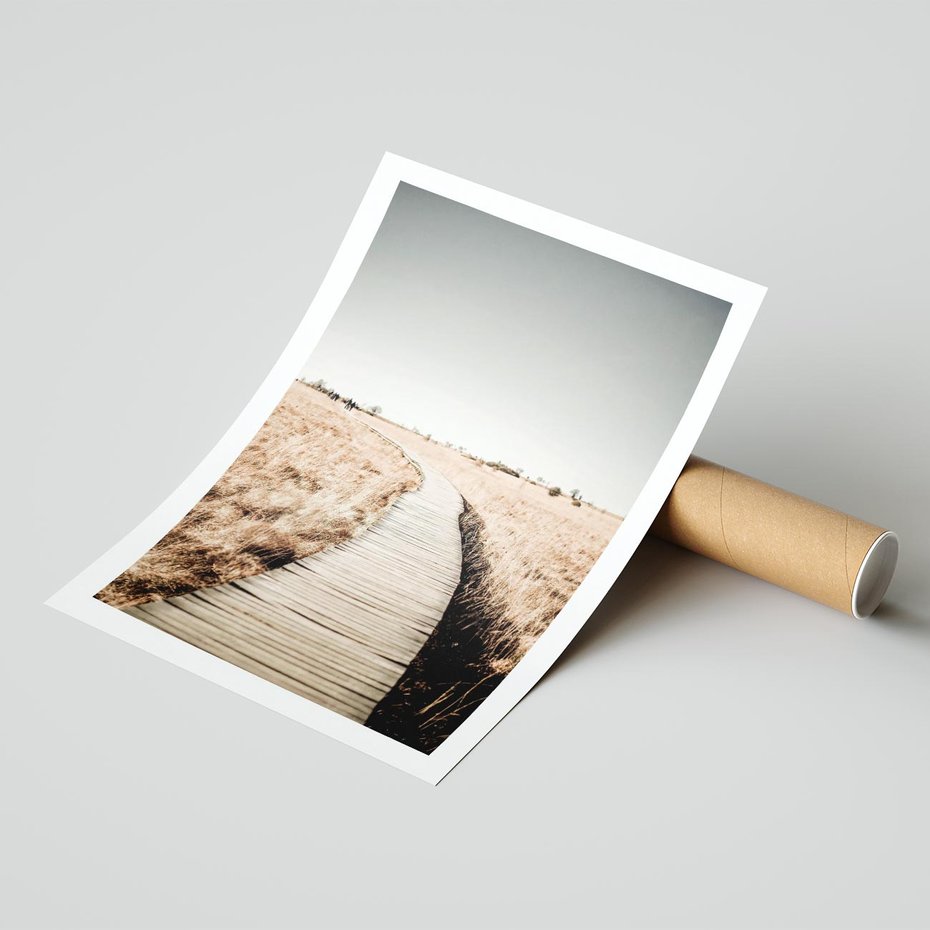 Plakat bez ramy 50x70 - Spacer Ścieżką w Suchych Trawach - ścieżka wśród suchych traw