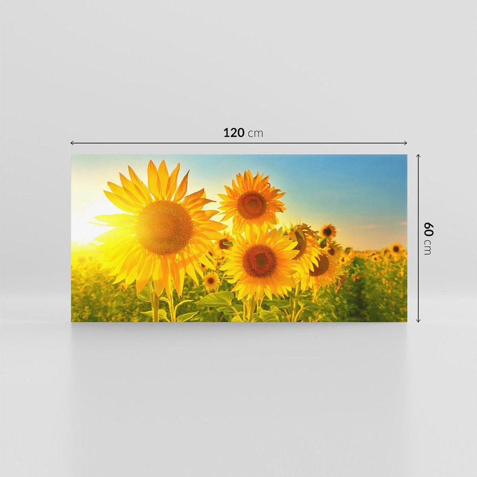 Obraz na płótnie 120x60 - kolorowe promienie - słoneczniki, kwiaty