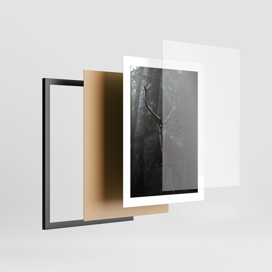 Plakat w ramie 30x40 - Jeleń wśród lasu - jeleń, las - rama czarna