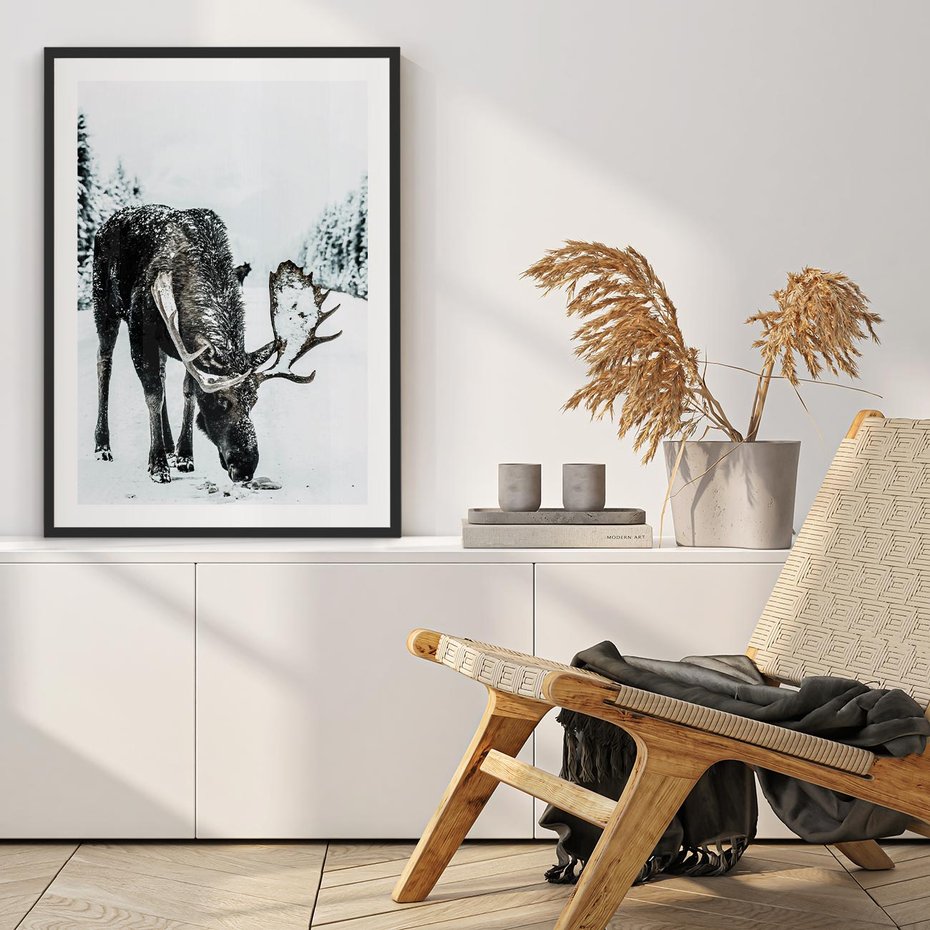 Plakat bez ramy 50x70 - Zimowy Portret Łosia - łoś w zimowej scenerii