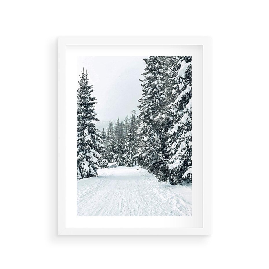 Plakat w ramie 30x40 - Magia Zimy na Obrazie - las, zima - rama biała