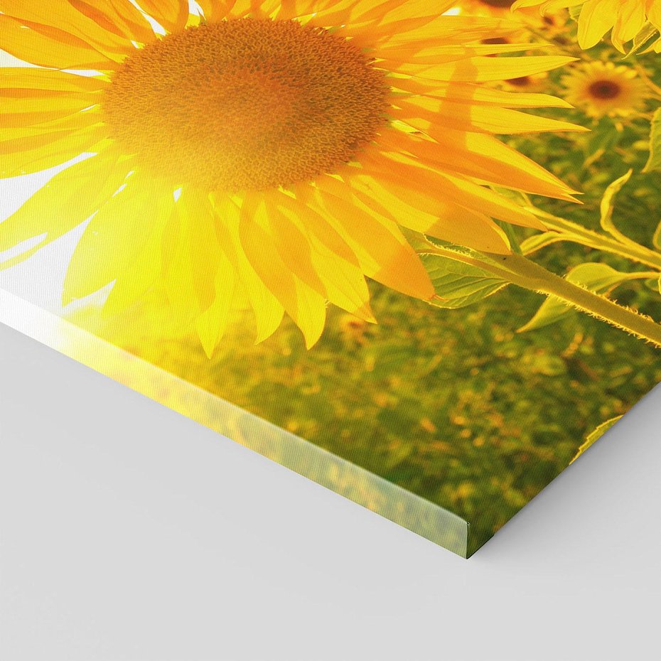 Obraz na płótnie 120x80 - kolorowe promienie - słoneczniki, kwiaty