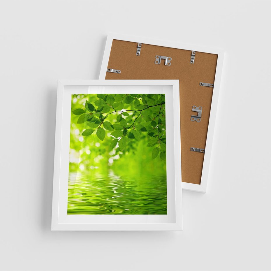 Plakat w ramie 40x50 - Liście w Wodzie - liście, woda - rama biała