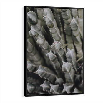 Obraz w ramie 50x70 - Boho kaktusy na pustyni - kaktusy, pustynia - rama czarna