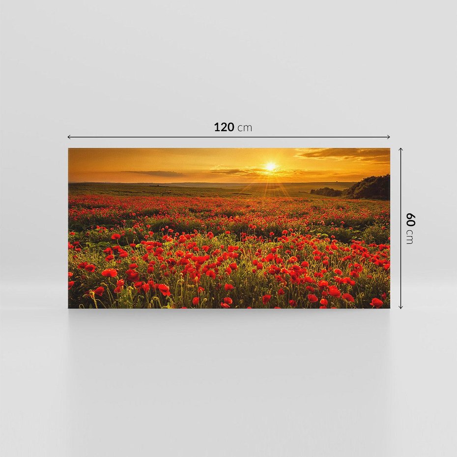 Obraz na płótnie 120x60 - Makowe uczucia - maki, kwiaty