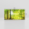 Obraz na płótnie 120x60 - Las w pełnym rozkwicie - las, drzewa