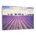 Obraz na płótnie 100x70 - Uroda Lawendy: Kwiatowy Cud Natury - lawenda, kwiaty