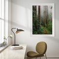 Plakat bez ramy 21x30 - Mgliste Marzenia - artystyczna fotografia, las