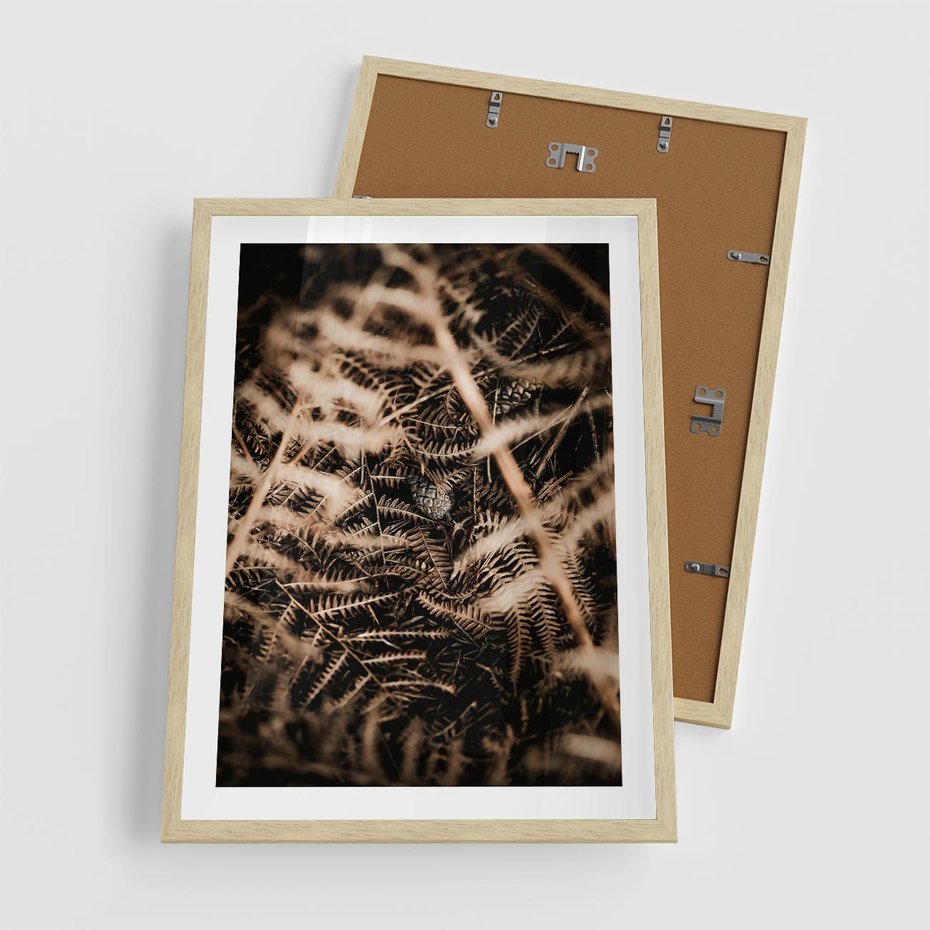 Plakat w ramie 50x70 - Liście i Paprocie - suche liście, paprocie - rama drewno