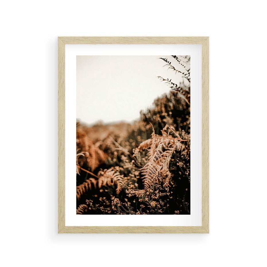 Plakat w ramie 30x40 - Jesienna Harmonia - suche paprocie, jesienny krajobraz - rama drewno