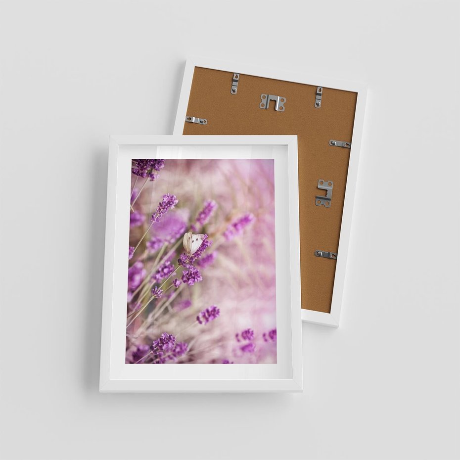 Plakat w ramie 30x40 - Majestat lawendy: fioletowe pola - lawenda, fiolet - rama biała
