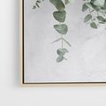 Obraz w ramie 80x120 - Uwodzicielska zieleń eukaliptusa - eukaliptus, zielone - rama drewno