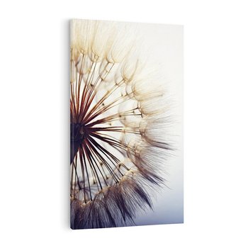 Obraz na płótnie 80x120 - Makro piękno dmuchawca - makro, dmuchawiec