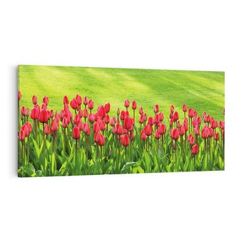 Obraz na płótnie 140x70 - Tulipanowy raj - kwiat, kwiaty