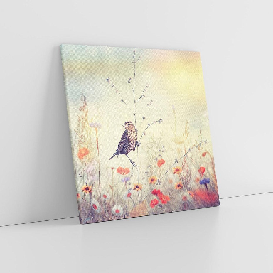 Obraz na płótnie 40x40 - Poranek wśród łąki - ptak, łąka