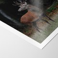Plakat bez ramy 21x30 - Spotkanie z naturą - jeleń, las
