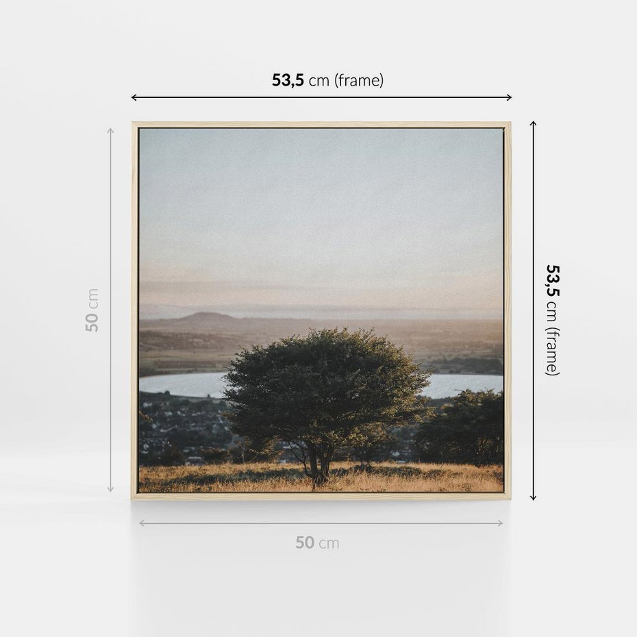 Obraz w ramie 50x50 - Siła Natury - drzewo, pejzaż - rama drewno
