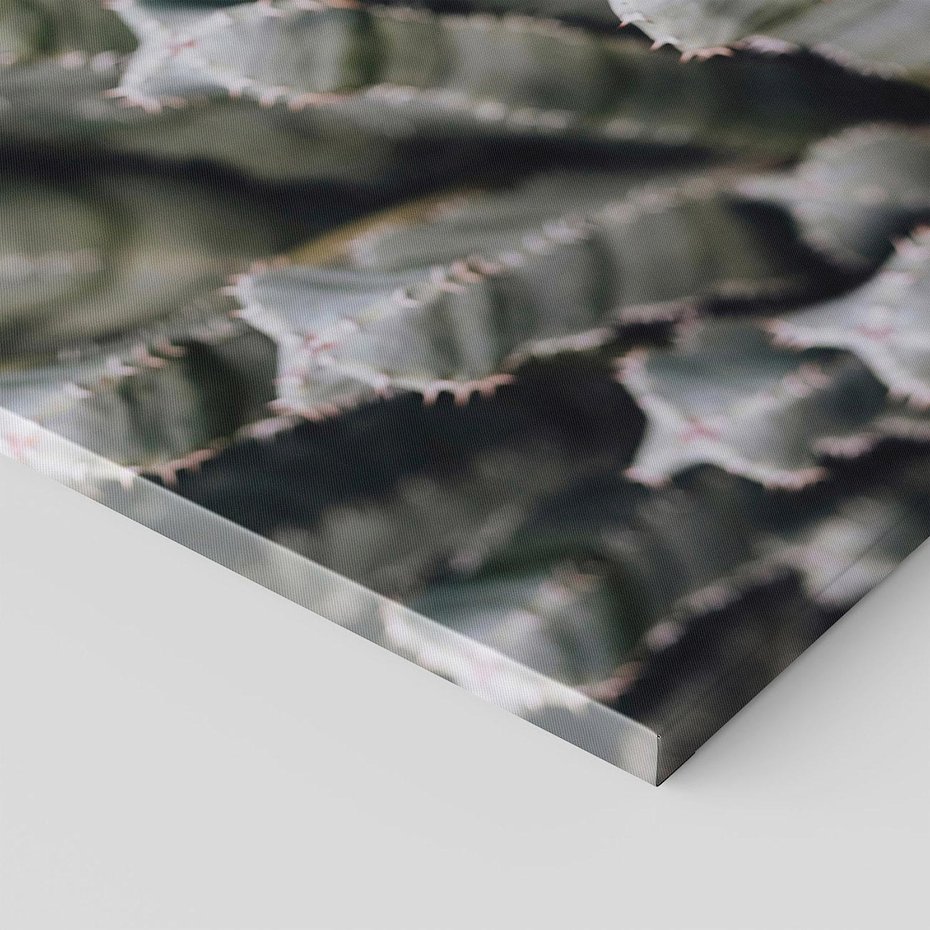 Obraz na płótnie 70x100 - Boho kaktusy na pustyni - kaktusy, pustynia