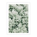 Plakat bez ramy 21x30 - Liście w Jasnych Odcieniach Zielonego - liście, jasna zieleń fotografia