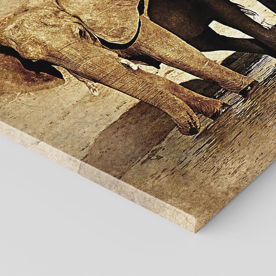 Obraz na płótnie 70x50 - Sztuka abstrakcyjna: Słonie - słonie, sztuka