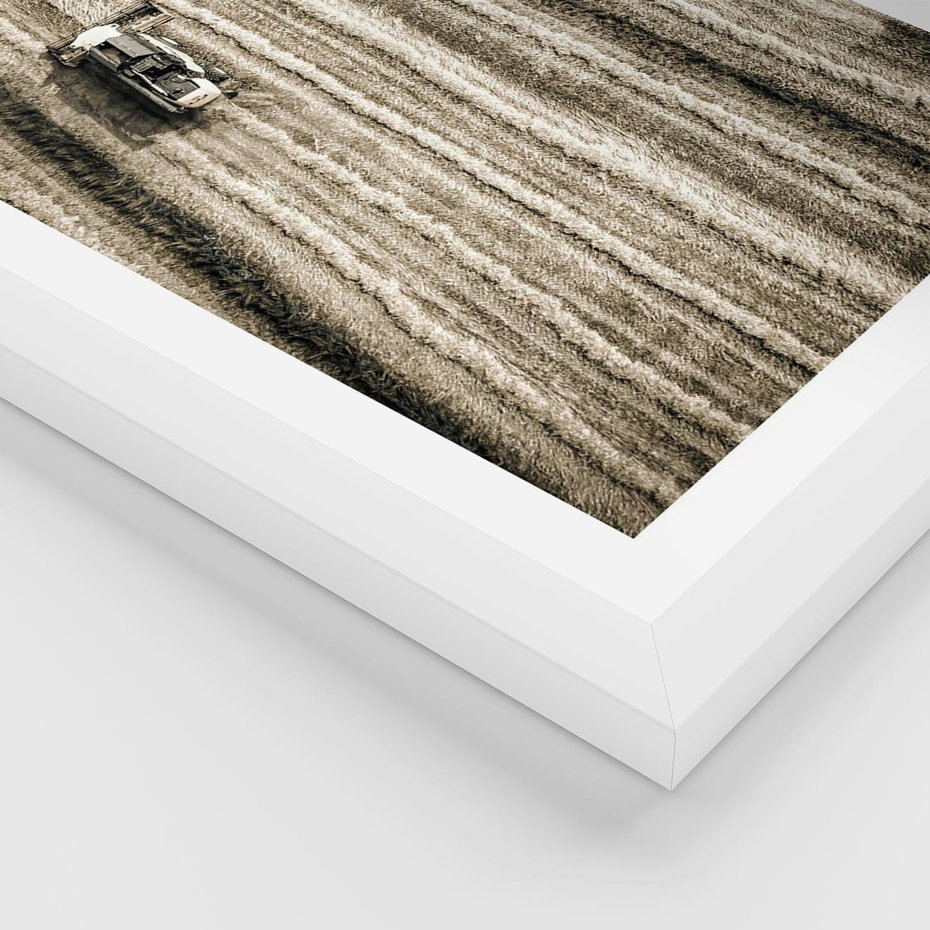Plakat w ramie 40x50 - Sepia na Polu - kombajn, pole - rama biała
