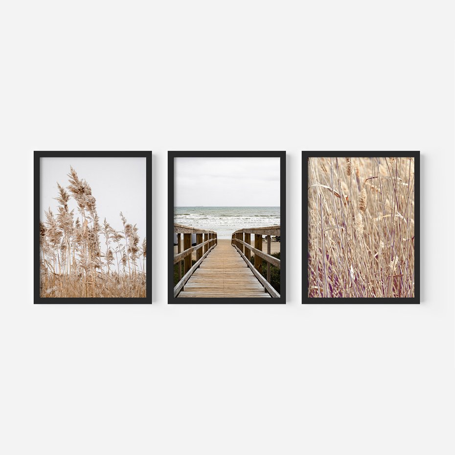 Zestaw obrazy w ramie 50x70 galeria - Trawy, morze, plaża, pampas - rama czarna