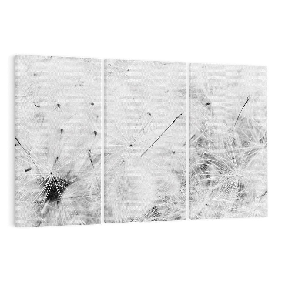 Obraz na płótnie 120x80 - Zdmuchnięty Puch - dmuchawce, delikatne