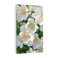 Obraz na płótnie 70x100 - Kwiatowy Raj - kwiat, kwiaty