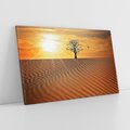 Obraz na płótnie 100x70 - Pustynia - Drzewo i słońce - pustynia, drzewo