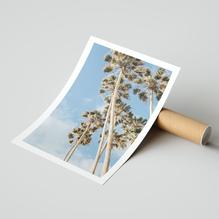 Plakat bez ramy 50x70 - Pod Niebem Palmy - palmy na niebieskim niebie