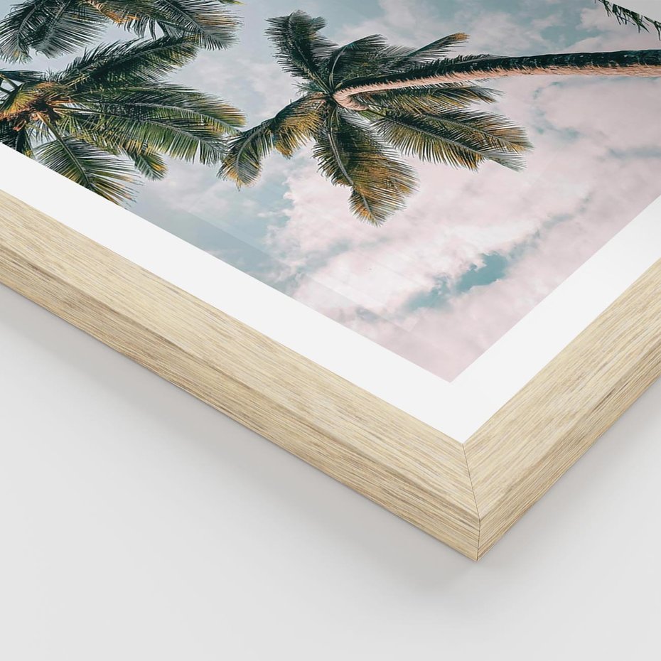 Plakat w ramie 40x50 - Wzrok ku Niebu - palmy na tle nieba, ujęcie z dołu - rama drewno