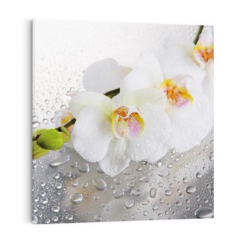 Obraz na płótnie 70x70 - Kwiatowy rój - kwiaty, kwiat