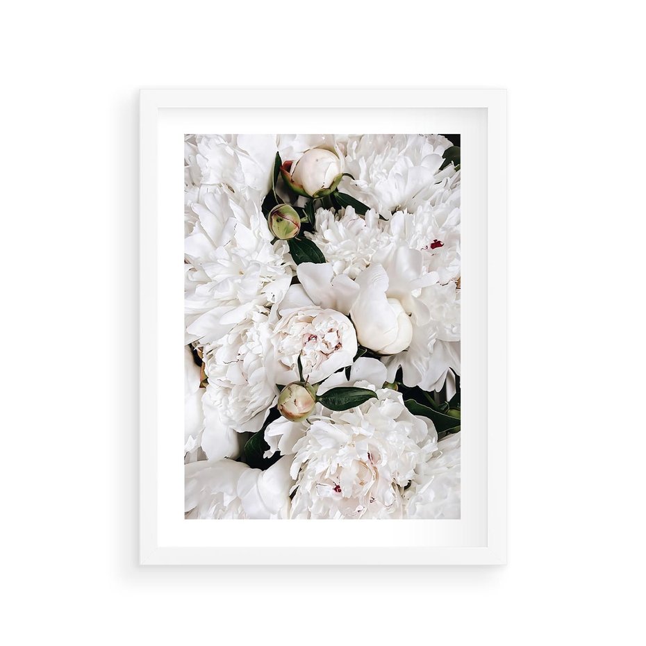 Plakat w ramie 30x40 - Modne Białe Kwiaty - białe kwiaty, płatki - rama biała