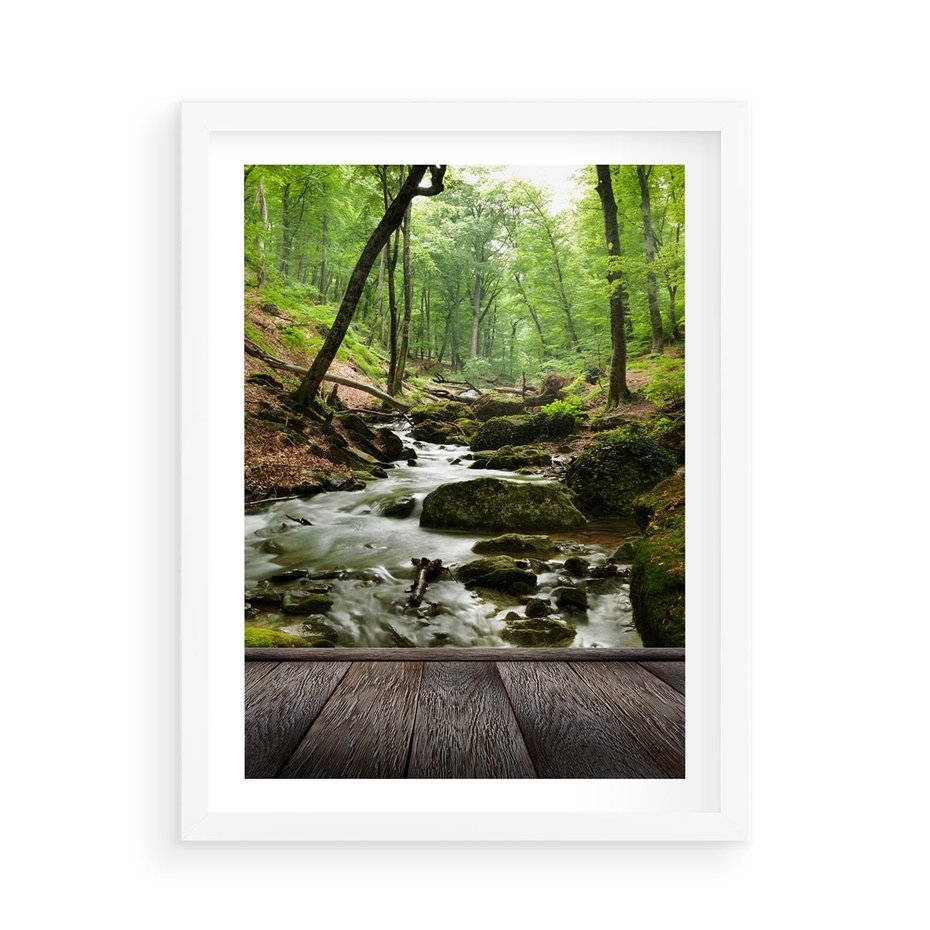 Plakat w ramie 50x70 - Strumyk w lesie - strumyk, w lesie - rama biała