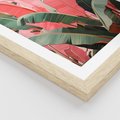 Zestaw obrazy w ramie 50x70 galeria - liście, tropikalne, bananowiec - rama drewno