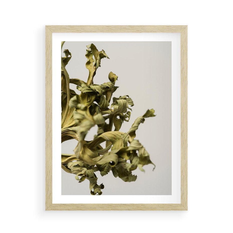 Plakat w ramie 50x70 - Odejście pory deszczowej - suche, trawy - rama drewno