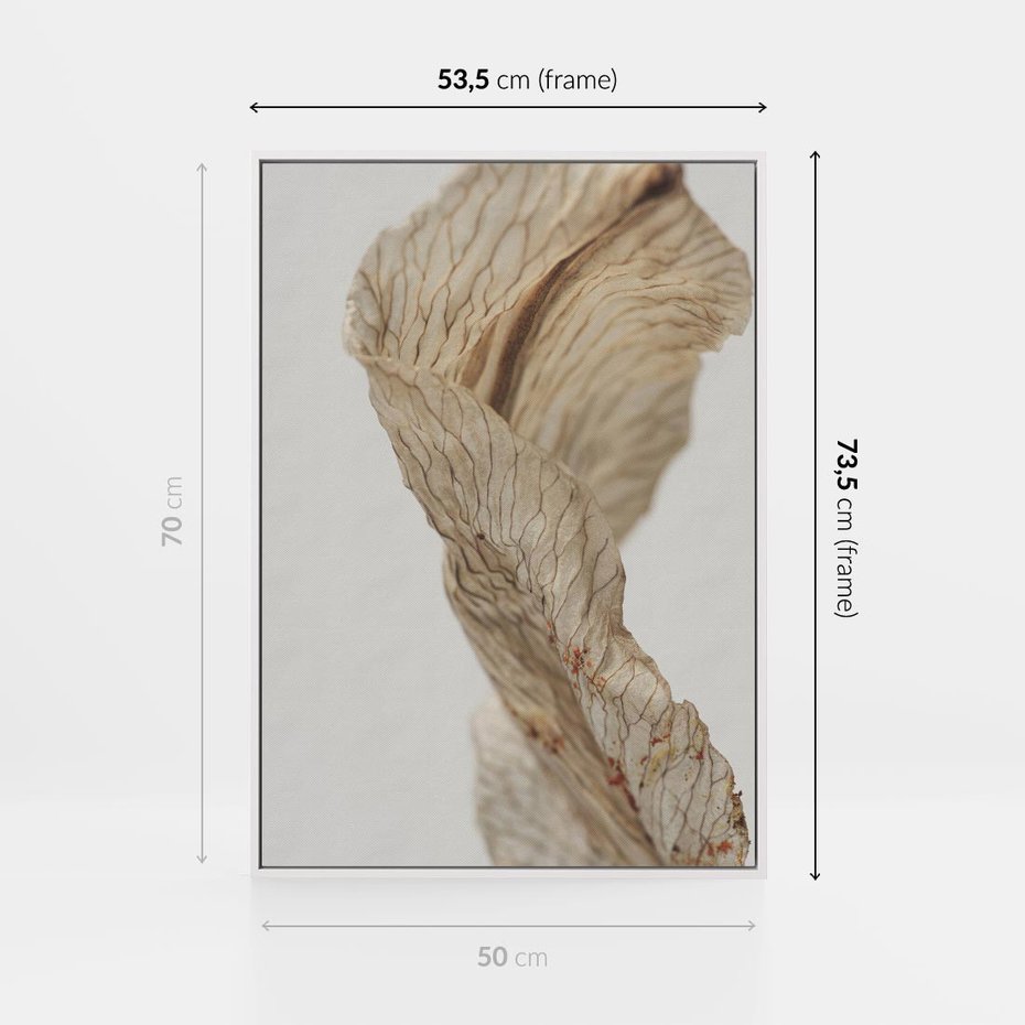 Obraz w ramie 50x70 - Suszone piękno - susz, suche - rama biała