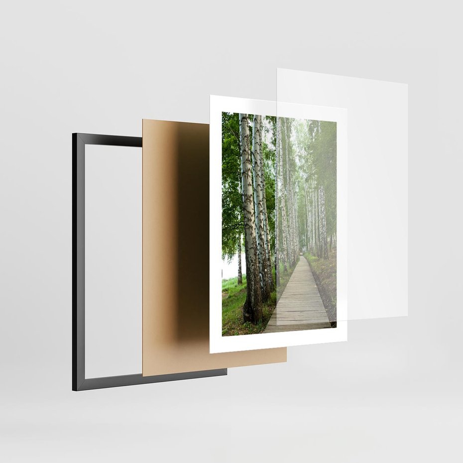 Plakat w ramie 30x40 - Spacer ścieżką przez brzozowy las - las, ścieżka - rama czarna