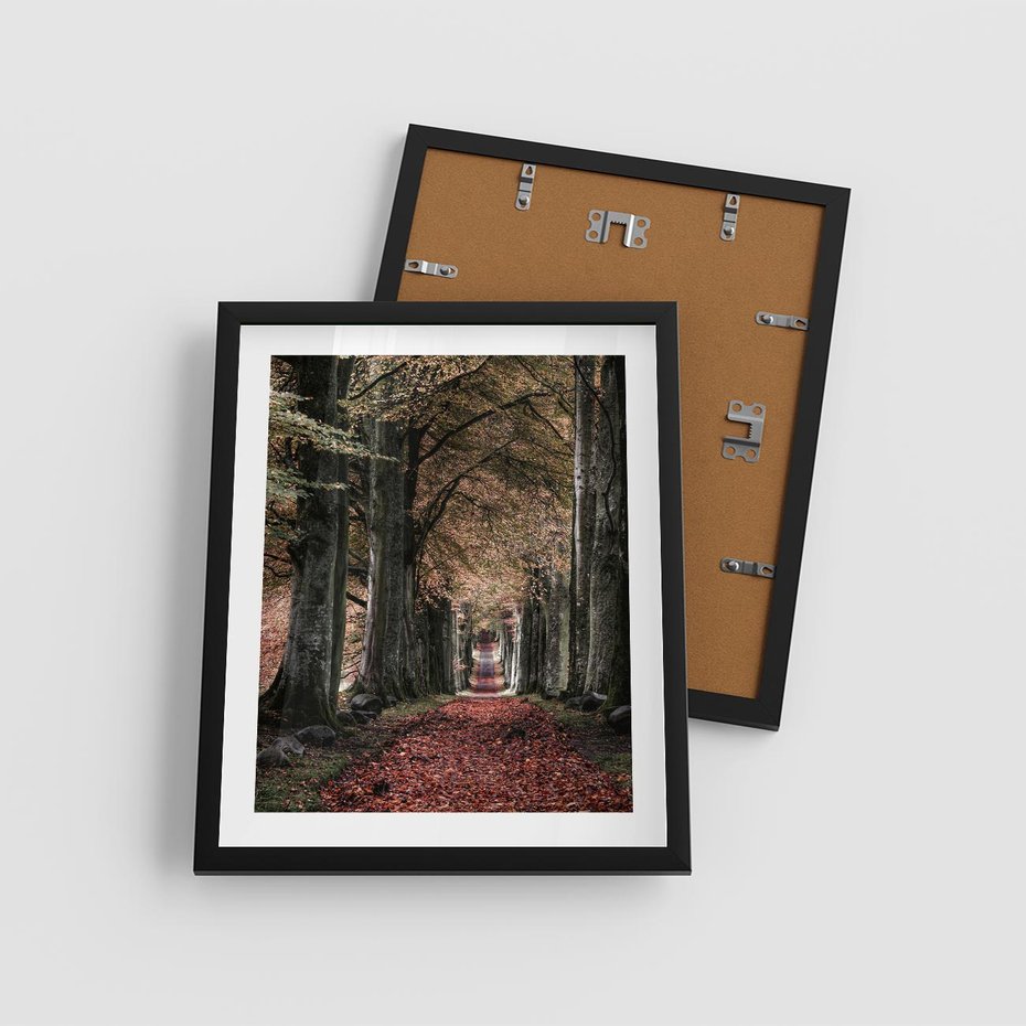 Plakat w ramie 40x50 - Spacer po Leśnej Drodze - ścieżka w lesie, jesień suche liście - rama czarna