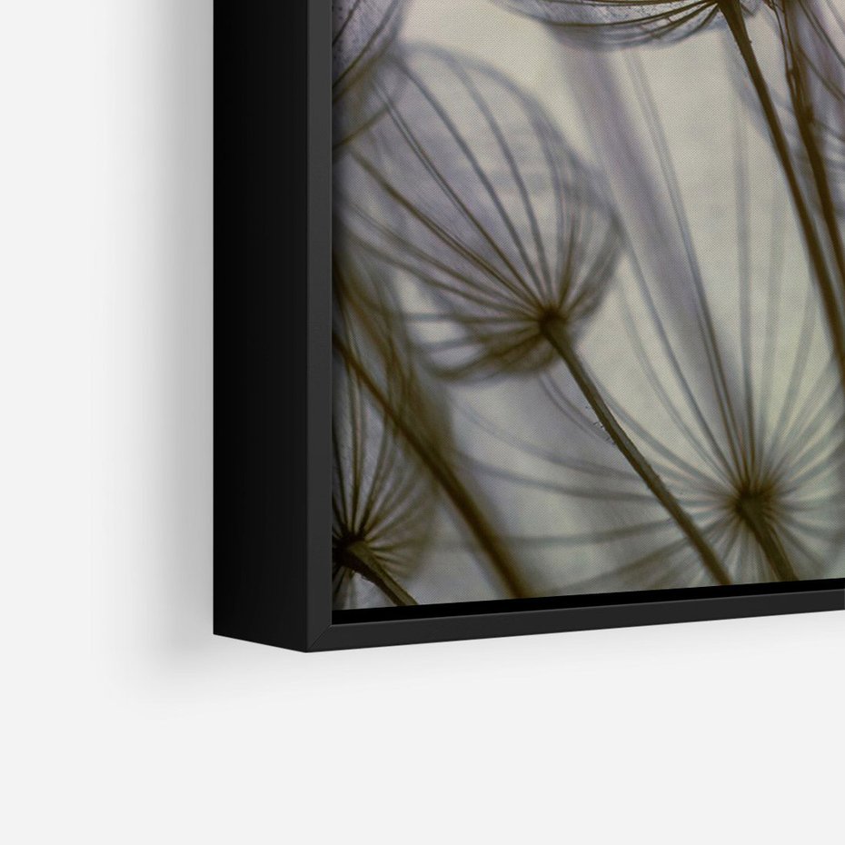 Obraz w ramie 70x100 - Makro dmuchawiec - piękno drobnych detali - dmuchawce, makro - rama czarna