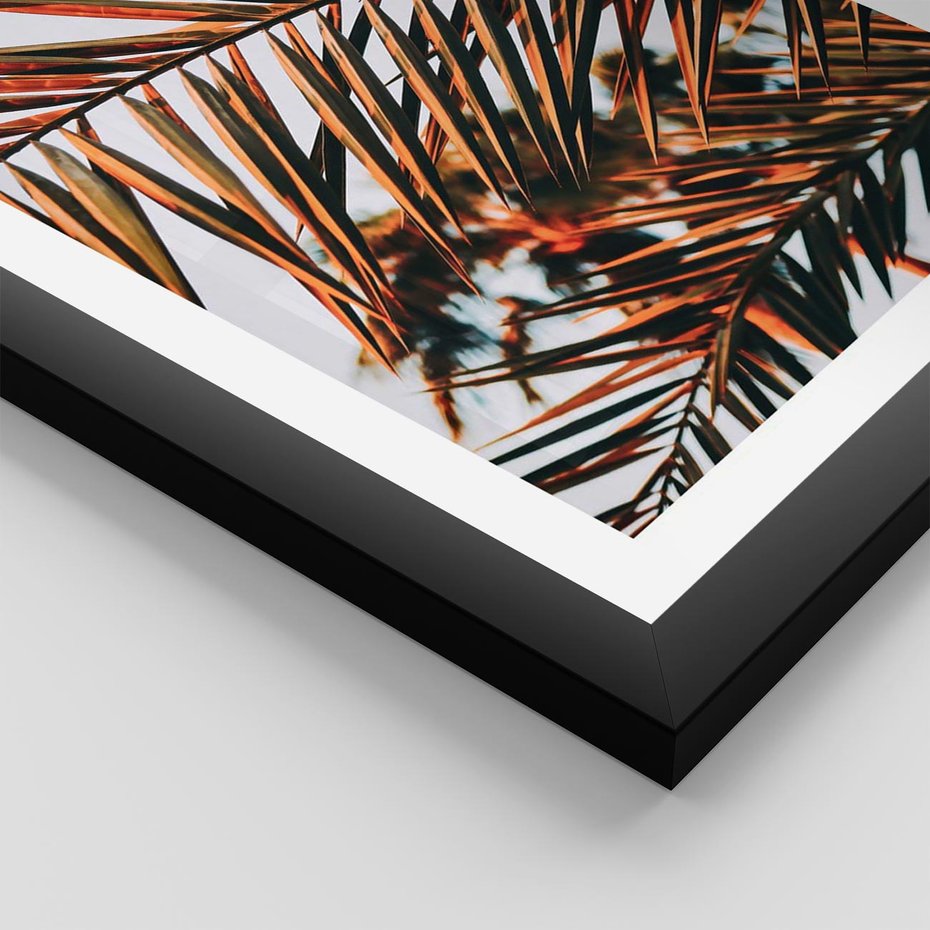 Plakat w ramie 50x70 - Tropikalna Harmonia - palma, liście palmy - rama czarna