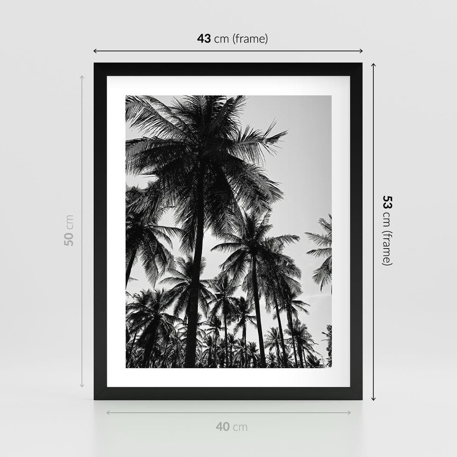 Plakat w ramie 40x50 - Mono Tropiki - palmy, drzewa palmowe - rama czarna
