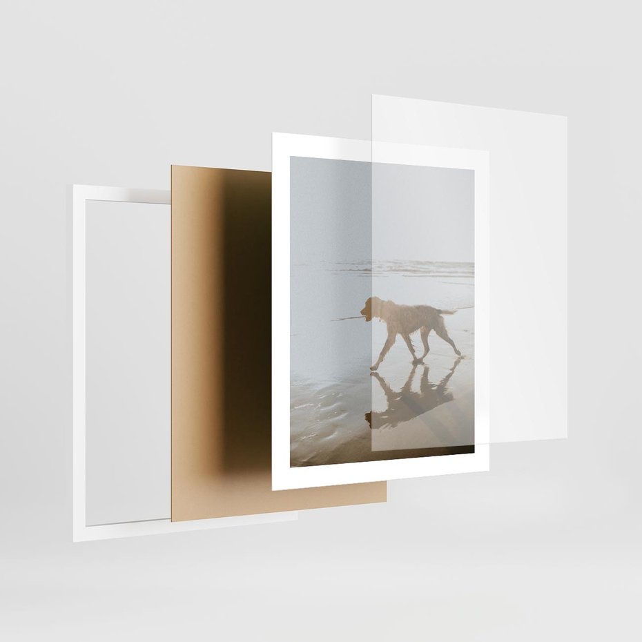 Plakat w ramie 40x50 - Przyjaciel na Plaży - pies, na plaży - rama biała