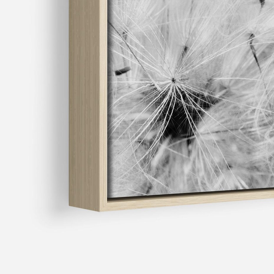 Obraz w ramie 100x70 - Zdmuchnięty Puch - dmuchawce, delikatne - rama drewno