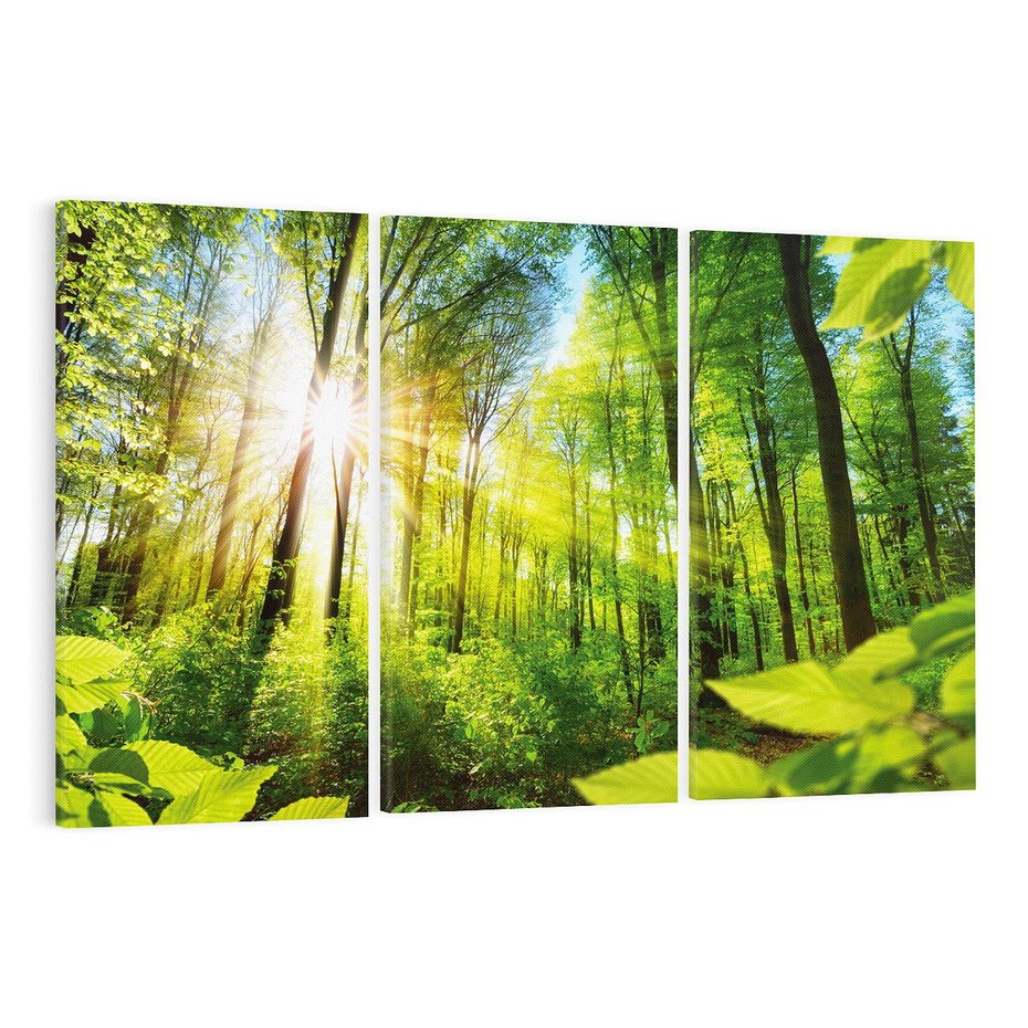 Obraz na płótnie 120x80 - Magia Leśnej Przyrody - las, drzewa