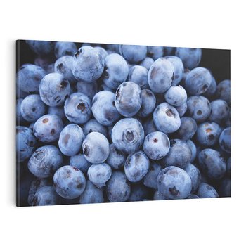 Obraz na płótnie 70x50 - Borówki Leśna Harmonia - borówki, owoce