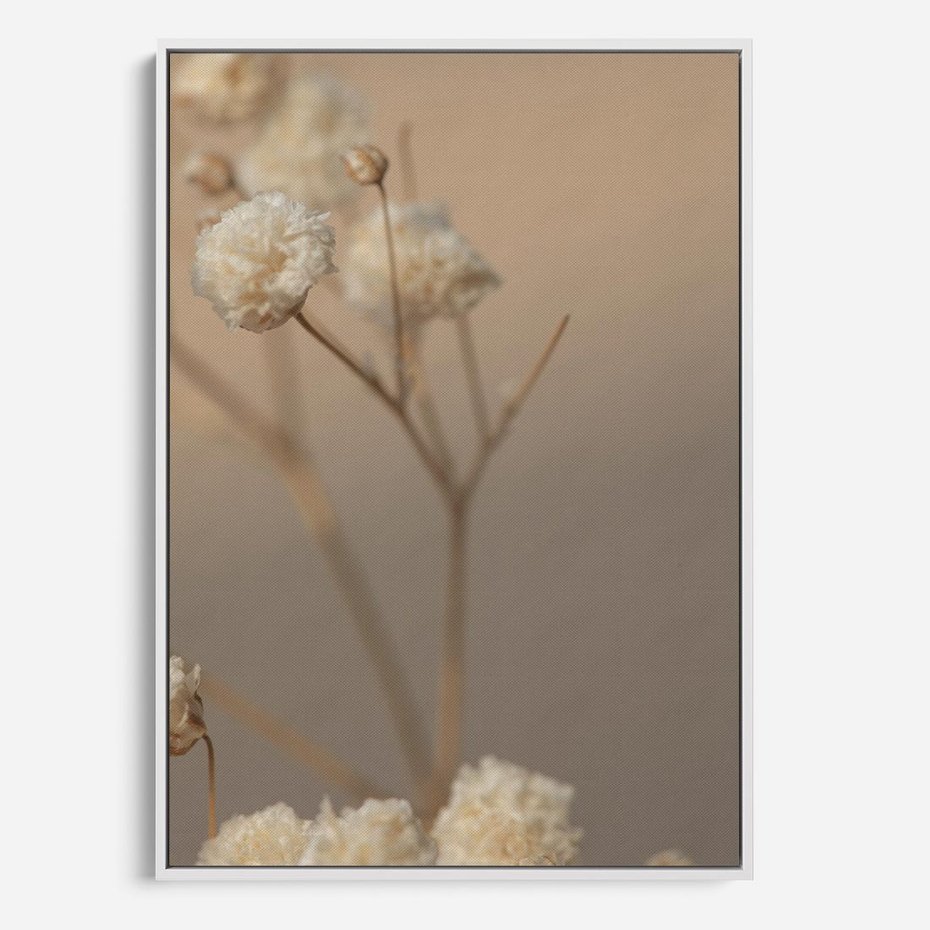 Obraz w ramie 50x70 - Subtelna gipsówka - gipsówka, suche - rama biała